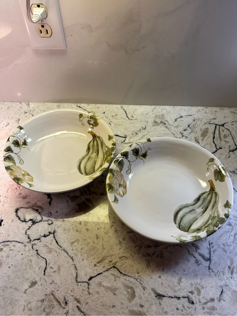 Pier one Autumn Bliss pair of bowls. READ